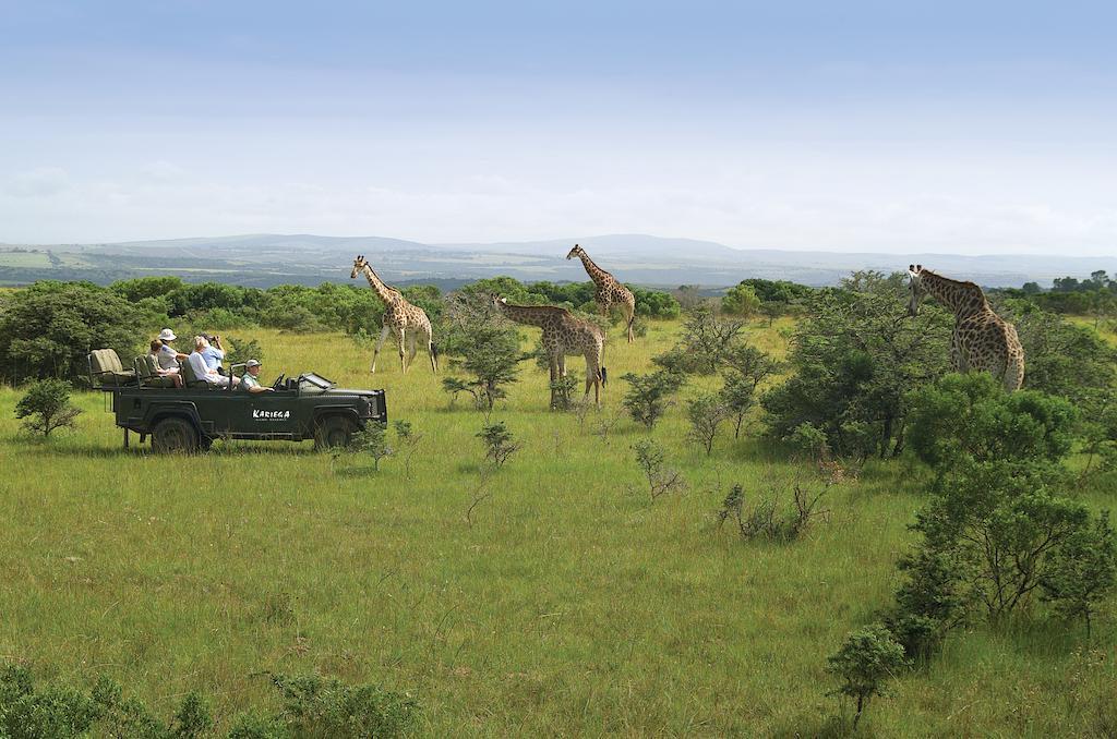 Kariega Game Reserve River Lodge Kenton on Sea Dış mekan fotoğraf