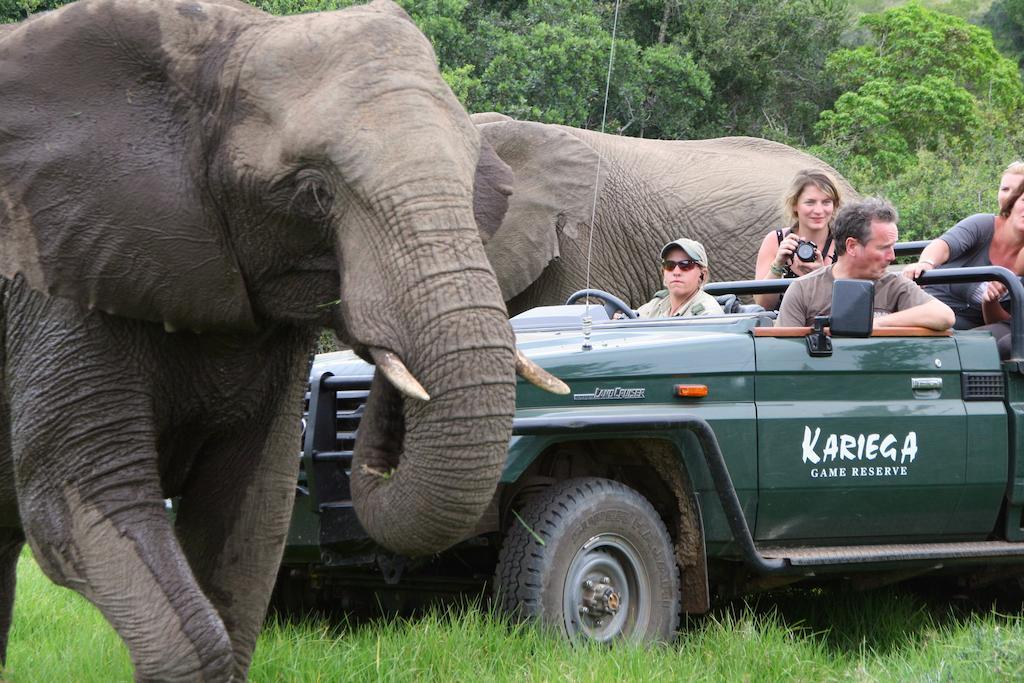 Kariega Game Reserve River Lodge Kenton on Sea Dış mekan fotoğraf