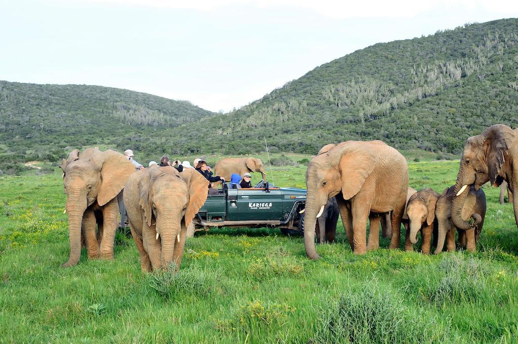Kariega Game Reserve River Lodge Kenton on Sea Dış mekan fotoğraf
