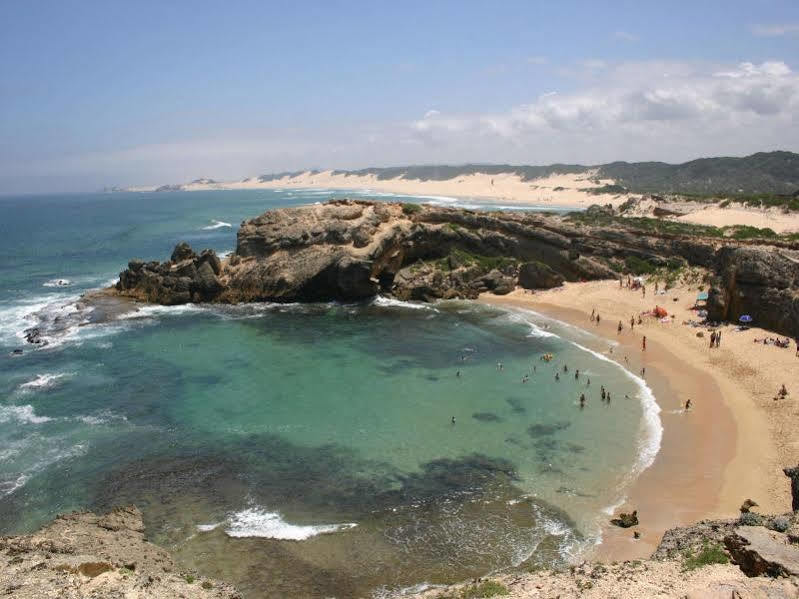 Kariega Game Reserve River Lodge Kenton on Sea Dış mekan fotoğraf