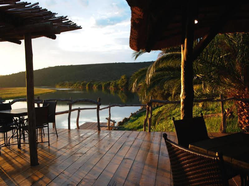 Kariega Game Reserve River Lodge Kenton on Sea Dış mekan fotoğraf